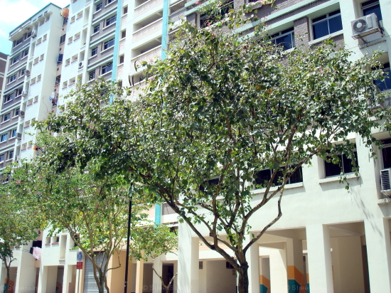 Blk 841 Woodlands Street 82 (Woodlands), HDB 4 Rooms #351492